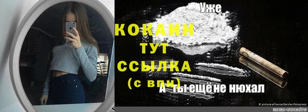 стафф Абинск