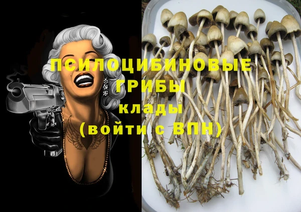 бошки Пересвет