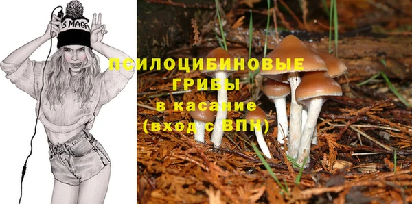 PSILOCYBIN Абаза