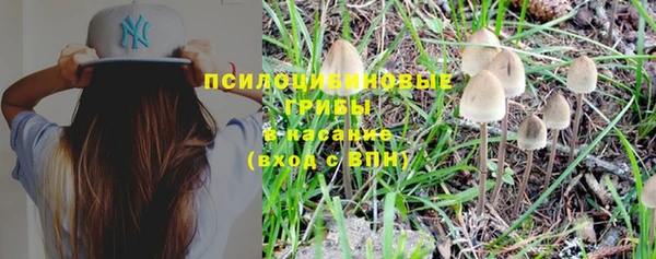 бошки Пересвет
