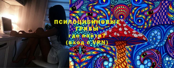 стафф Абинск